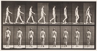 Piatto 8. Camminando da Eadweard Muybridge