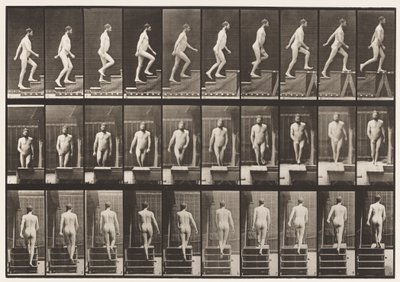 Tavola 90. Salita delle scale da Eadweard Muybridge