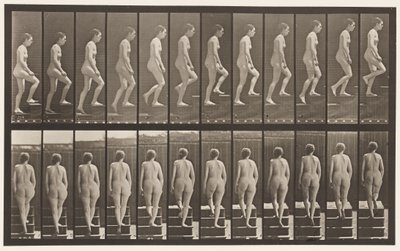 Piatto 92. Salendo le scale da Eadweard Muybridge