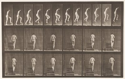 Piastra 93. Salire le scale da Eadweard Muybridge