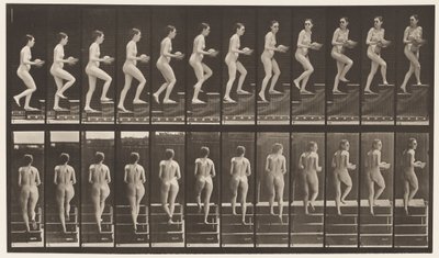 Tavola 94. Salire le scale guardandosi intorno; Bacino in mano da Eadweard Muybridge