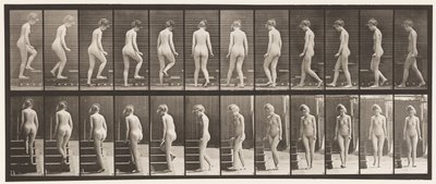 Tavola 98. Girarsi e salire le scale da Eadweard Muybridge