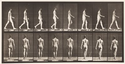 Camminare da Eadweard Muybridge