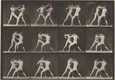 Numero di lastra 340. Pugilato, mano aperta (scarpe),1887 (foto) da Eadweard Muybridge