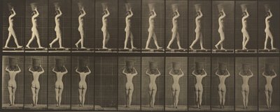 Tavola numero 34. Camminare e portare un cesto di 15 libbre sulla testa, mani alzate da Eadweard Muybridge