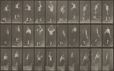 Tavola numero 504. Scale ascendenti e discendenti da Eadweard Muybridge