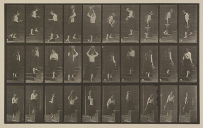 Tavola numero 504. Scale ascendenti e discendenti da Eadweard Muybridge