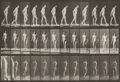  da Eadweard Muybridge