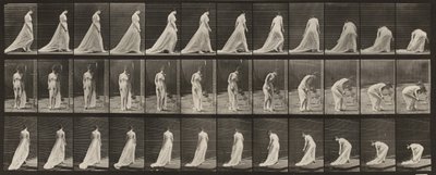 Tavola n. 56. Camminare, girarsi e chinarsi per sollevare la scia da Eadweard Muybridge