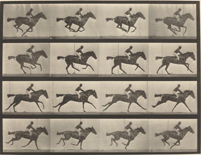Tavola numero 626. Galoppo, cavalla baia purosangue, Annie G. da Eadweard Muybridge