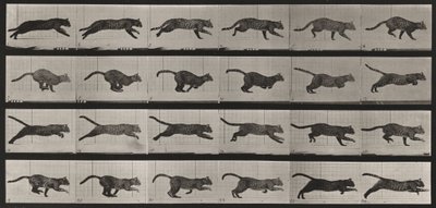  da Eadweard Muybridge