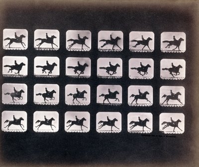 Corsa (Galoppo) di Eadweard J. Muybridge da Eadweard Muybridge