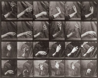 Sequenza con movimento della mano, tavola 535 da Animal Locomotion da Eadweard Muybridge