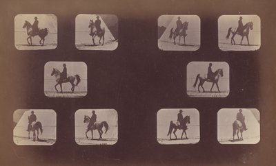 Studi di scorci. Cavalli. Camminare. Maometto. N. 119-120 da Eadweard Muybridge