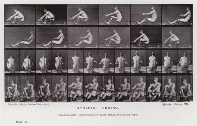 La figura umana in movimento: Atleta, remando da Eadweard Muybridge