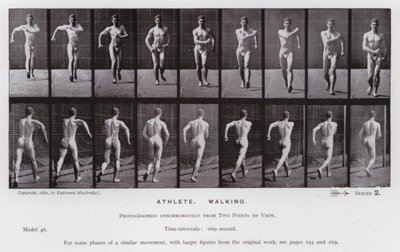 La figura umana in movimento: Atleta, camminando da Eadweard Muybridge