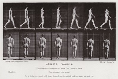 La figura umana in movimento: Atleta, camminando da Eadweard Muybridge