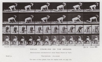 La Figura Umana in Movimento: Bambino, gattonando a terra da Eadweard Muybridge