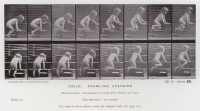 Figura umana in movimento: Bambino che gattona su per le scale da Eadweard Muybridge