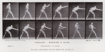 La figura umana in movimento: Pugile, colpo da Eadweard Muybridge
