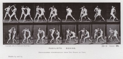 Figura umana in movimento: Pugili che boxano da Eadweard Muybridge