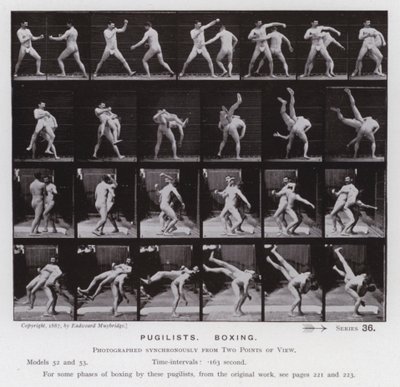 La figura umana in movimento: Pugili, boxe da Eadweard Muybridge