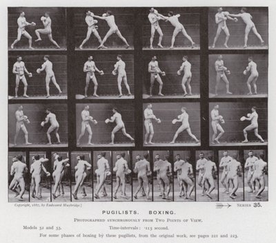 La figura umana in movimento: Pugili, boxe da Eadweard Muybridge