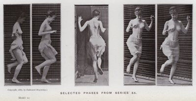 La figura umana in movimento: Fasi selezionate dalla serie 55 da Eadweard Muybridge