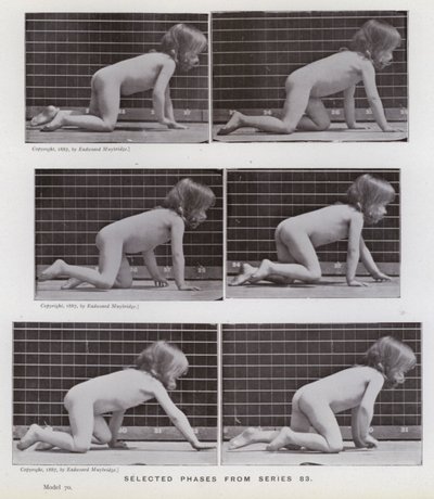 La figura umana in movimento: Fasi selezionate dalla serie 83 da Eadweard Muybridge