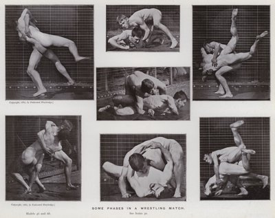 La figura umana in movimento: Alcune fasi in un incontro di lotta da Eadweard Muybridge