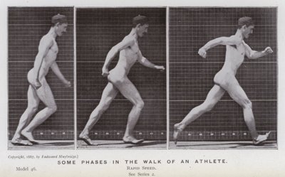 La figura umana in movimento: Alcune fasi della camminata di un atleta da Eadweard Muybridge