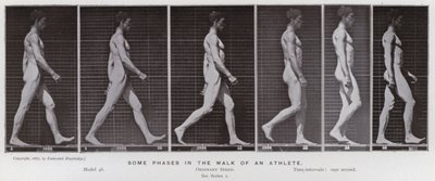 La figura umana in movimento: Alcune fasi nella camminata di un atleta da Eadweard Muybridge