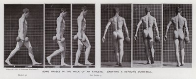 La figura umana in movimento: Alcune fasi della camminata di un atleta, portando un manubrio da 50 libbre da Eadweard Muybridge