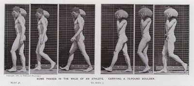 La figura umana in movimento: Alcune fasi della camminata di un atleta, portando un masso di 75 libbre da Eadweard Muybridge