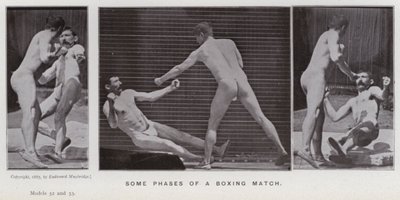 Figura umana in movimento: Alcune fasi di un incontro di boxe da Eadweard Muybridge