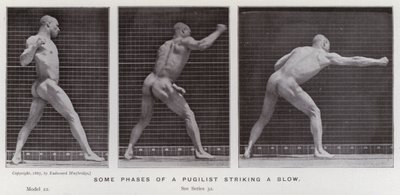 La figura umana in movimento: Alcune fasi di un pugile che colpisce da Eadweard Muybridge
