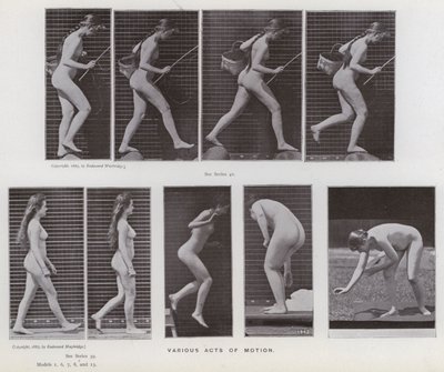 La figura umana in movimento: Vari atti di movimento da Eadweard Muybridge