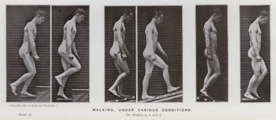 Figura umana in movimento: Camminare in varie condizioni da Eadweard Muybridge