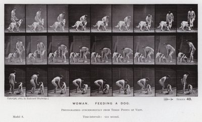 Figura umana in movimento: Donna che dà da mangiare a un cane da Eadweard Muybridge