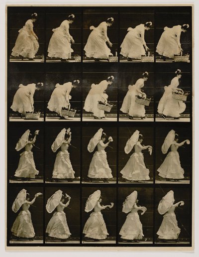 Donna che solleva un cesto e sventola un fazzoletto, dal libro Locomozione animale da Eadweard Muybridge