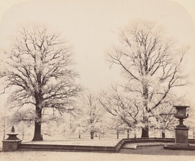 Brina, una scena di parco, 1862 da Earl of Caithness James Sinclair