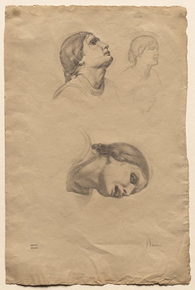 Quattro studi della testa di una giovane italiana da Edgar Degas