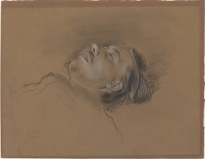 Testa del fantino caduto (studio per "Scena dalla corsa a ostacoli: Il fantino caduto") da Edgar Degas