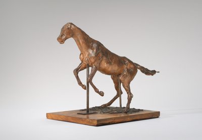 Cavallo che si rifiuta di saltare un ostacolo da Edgar Degas