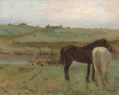 Cavalli in un prato da Edgar Degas