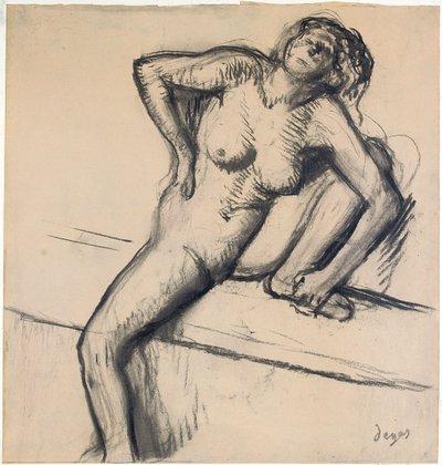 Nudo, fine anni 1890 da Edgar Degas