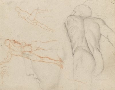 Studi del 