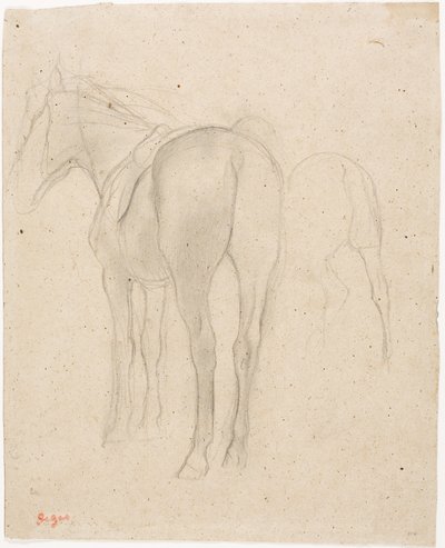 Studi di un cavallo da Edgar Degas