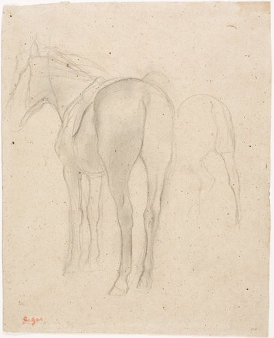 Studi su un cavallo da Edgar Degas