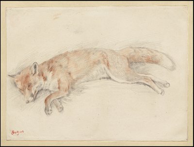 Studio per "Volpe morta nella foresta" da Edgar Degas